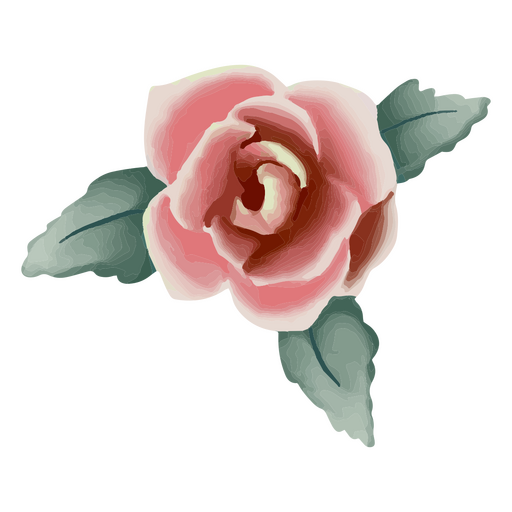 Rosa Rose mit Blättern strukturiert PNG-Design