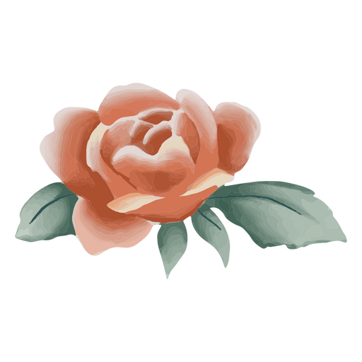 Rosa naranja con textura Diseño PNG