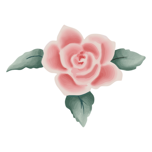Rosa con textura delicada Diseño PNG