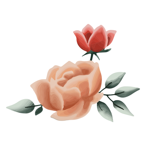 Rosas texturizadas Diseño PNG