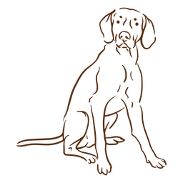 Vizsla accidente cerebrovascular sentarse Diseño PNG