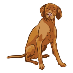 Vizsla ilustración sentarse Diseño PNG
