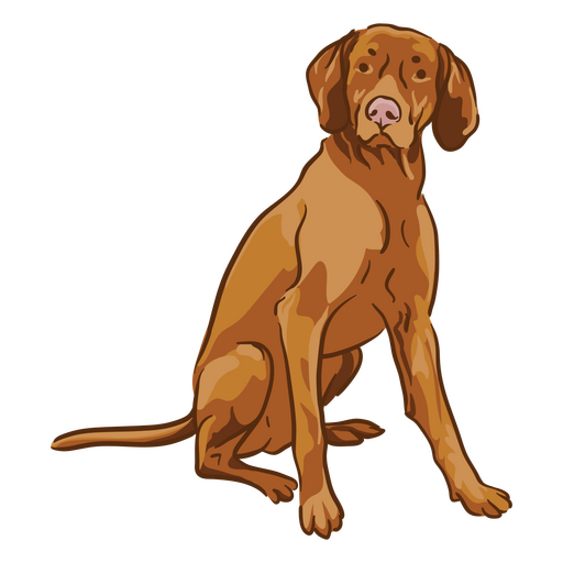 Sentar de ilustração Vizsla Desenho PNG