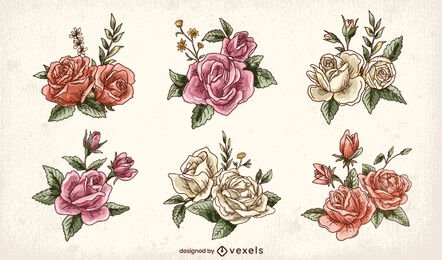 Conjunto de flores e folhas rosa