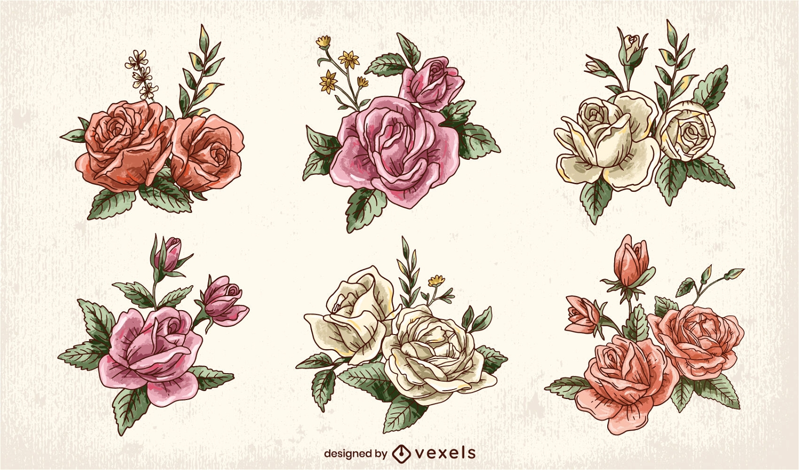 Conjunto de flores e folhas rosa