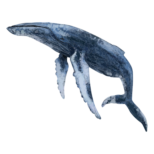 Whale textured PNG Design