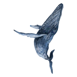 Whale textured animal PNG Design