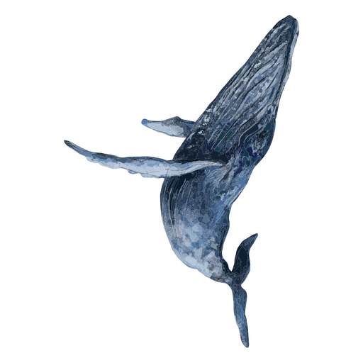 Whale textured animal