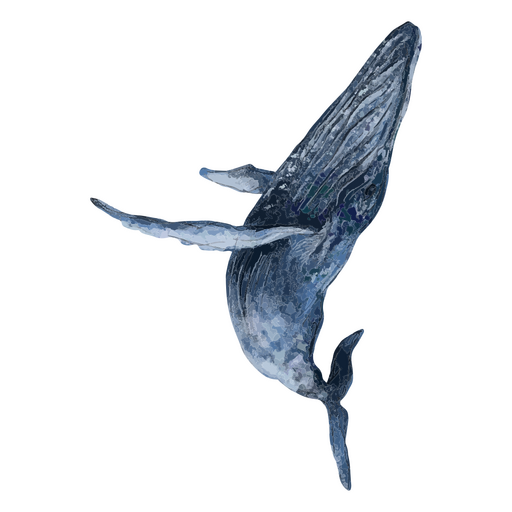 Whale textured animal PNG Design