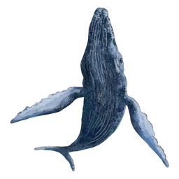 Whale textured sea PNG Design