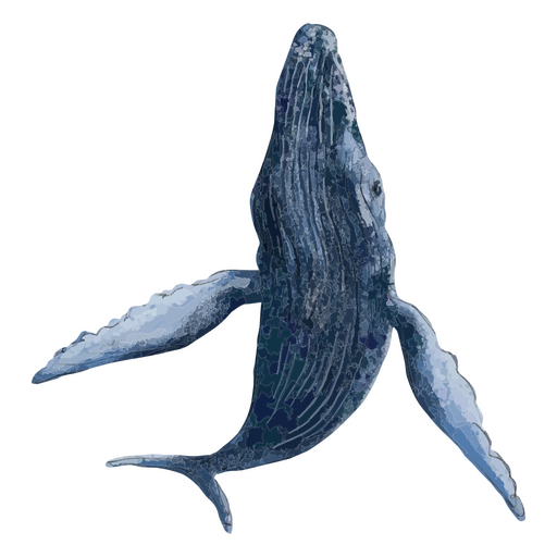 Mar texturizado de baleia Desenho PNG