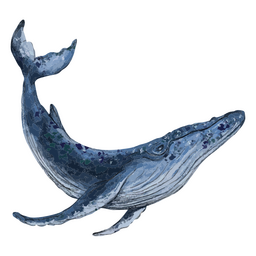 Wal strukturiertes Meerestier PNG-Design