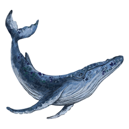Whale textured sea animal PNG Design