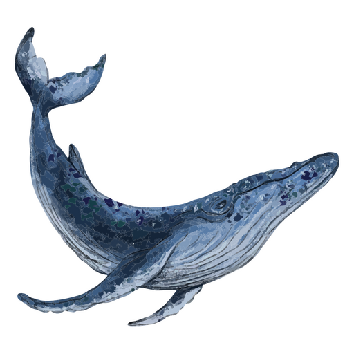 Animal marinho texturizado de baleia Desenho PNG