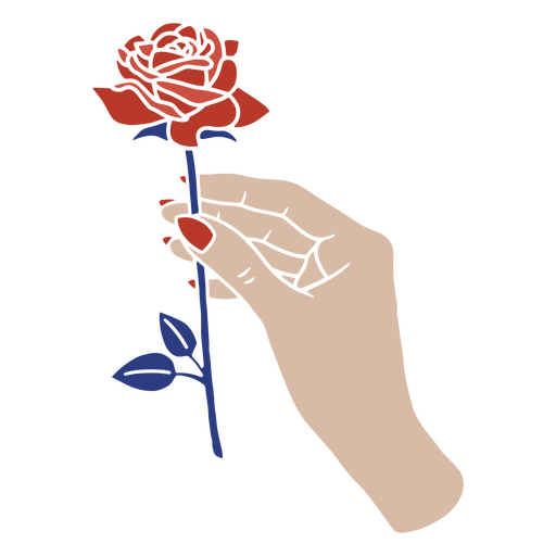 Rose hand drawing