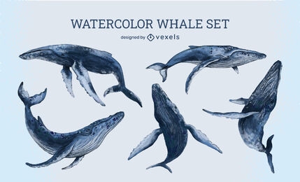 Watercolor whale sea set