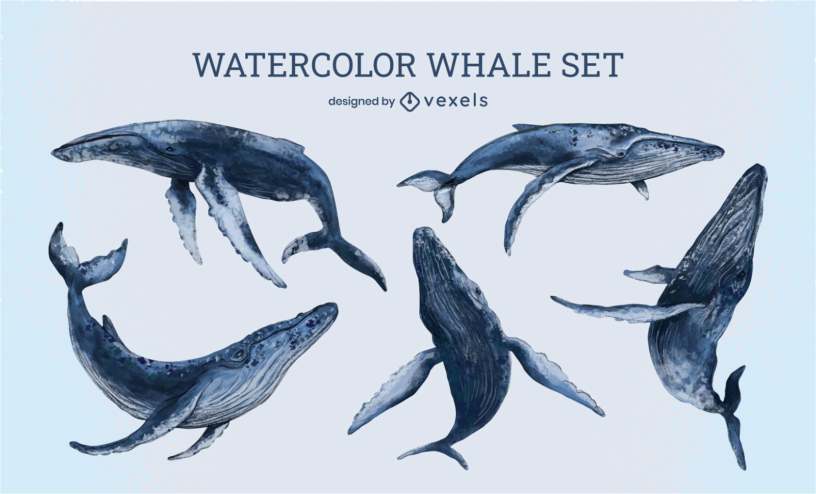 Conjunto de mar de baleia em aquarela