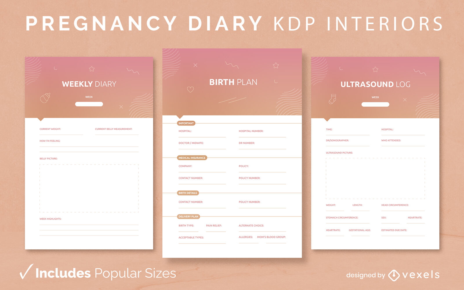 Modelo de interior KDP de diário de gravidez