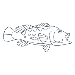 Fish water animal nature icon PNG Design