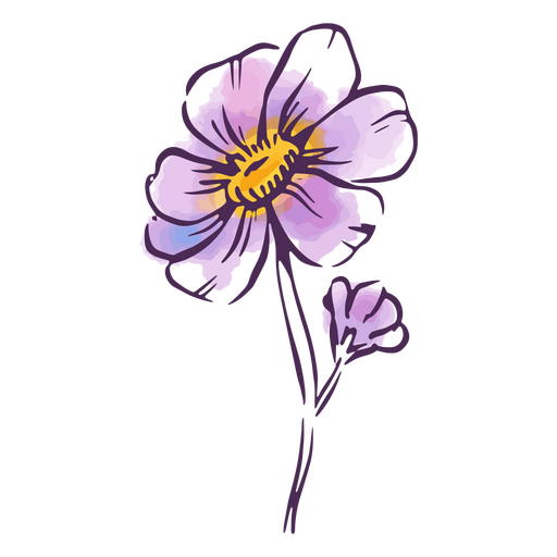 Icono de flores de planta acuarela delicada Diseño PNG