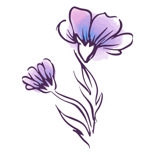 Line watercolor purple flowers PNG Design
