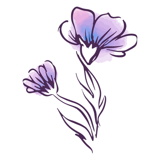 Línea acuarela flores moradas Diseño PNG