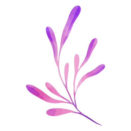 Folhas de rosa abstratas Desenho PNG