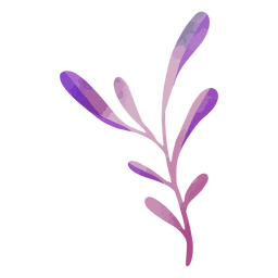 Abstract coral or leaf PNG Design