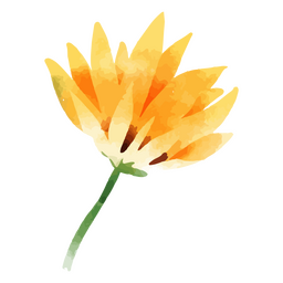 Sunflower from side PNG Design Transparent PNG