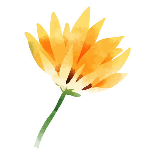 Sonnenblume von der Seite PNG-Design