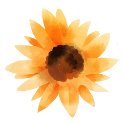 Girassol da aquarela superior Desenho PNG