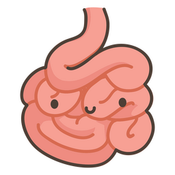 Intestino kawaii Desenho PNG