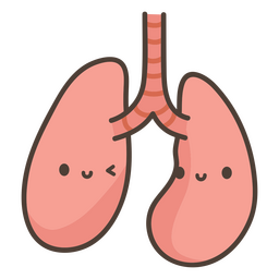 Human body lungs organ PNG Design