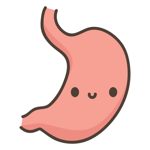Órgano del estómago del cuerpo humano Diseño PNG