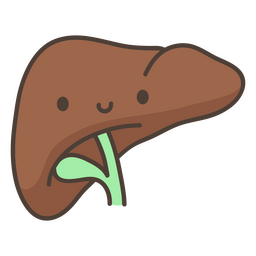 Órgano del hígado del cuerpo humano Diseño PNG