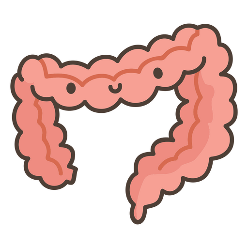 ?rg?o do intestino do corpo humano Desenho PNG
