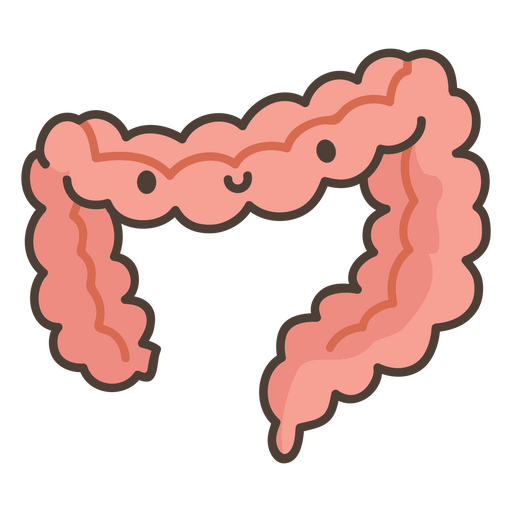 Órgano del intestino del cuerpo humano Diseño PNG