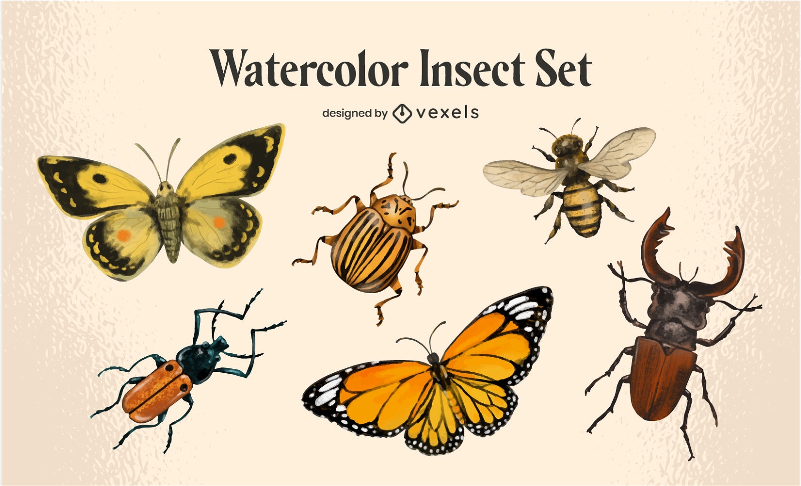 Watercolor multiple insect set