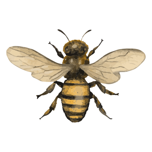 Biene strukturierte Insekten PNG-Design
