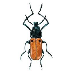 Hirschkäfer texturierte Insekten PNG-Design