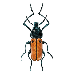 Stag beetle textured insects