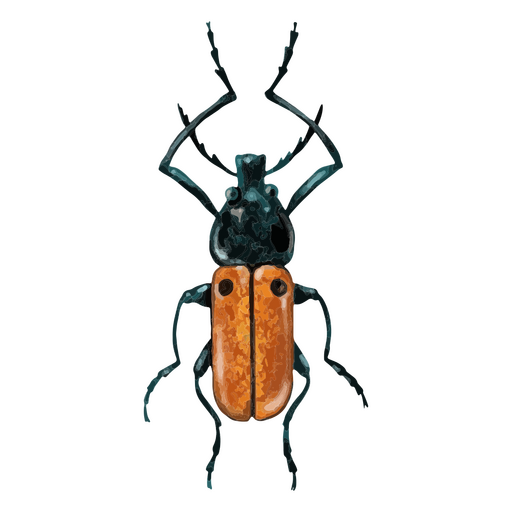 Insectos con textura de escarabajo ciervo Diseño PNG