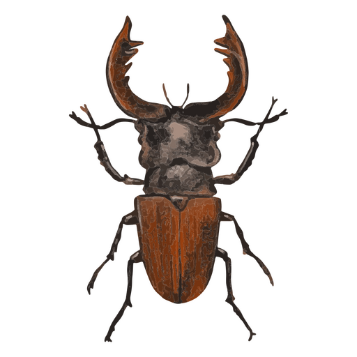 Besouro de veado texturizado de insetos Desenho PNG