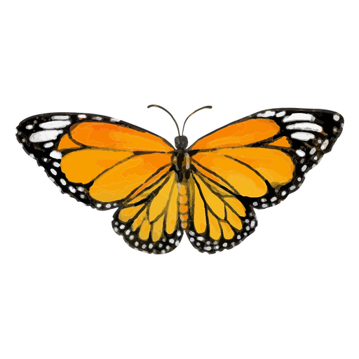 Butterfly textured insects PNG Design