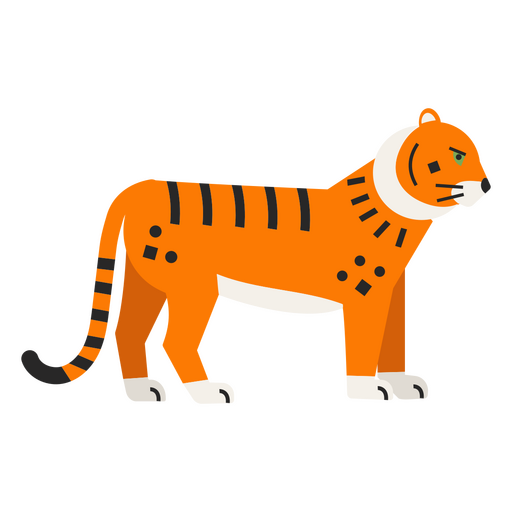 Tigre em pé Desenho PNG