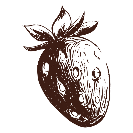 Fruta dibujada a mano de fresa