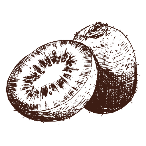 Kiwi desenhado à mão Desenho PNG