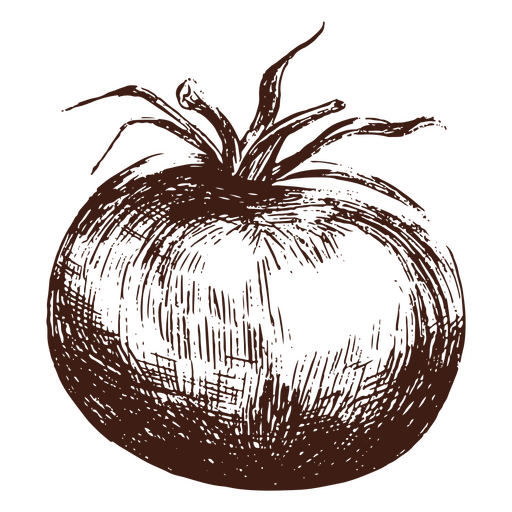 Hand drawn tomato PNG Design