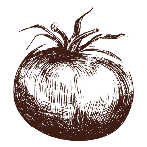 Tomate desenhado à mão Desenho PNG