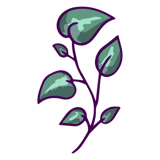 Folhas de planta de traçado de cor
